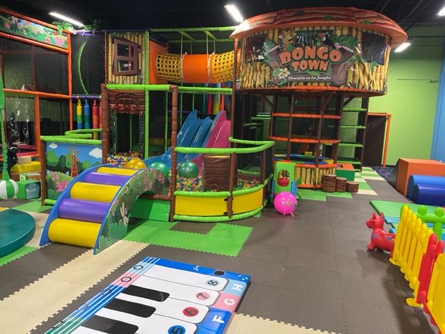 BJ-B1659 - Jungle Indoor playground - Indoor Playgrounds | Bluejayset Playground Heaven