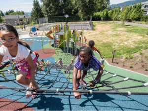 Park Playground Equipment