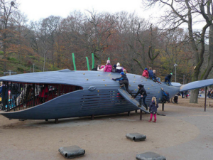 Park Playground Equipment