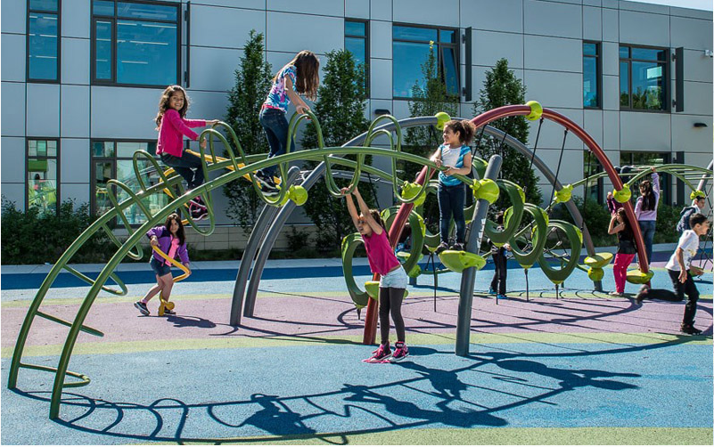 BJ-NS05 - Park Playground Equipment - Outdoor Playgrounds | Bluejayset Playground Heaven